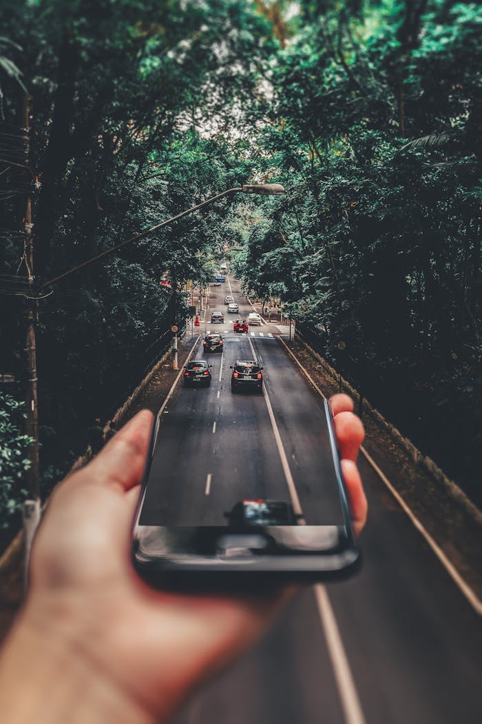 heros-img Creative blend of technology and nature with smartphone framing a bustling road through forest.